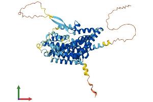 Protein Structure (PS) image for Solute Carrier Family 1 (Neuronal/epithelial High Affinity Glutamate Transporter, System Xag), Member 1 (SLC1A1) (AA 1-523) protein (His tag) (ABIN7563403)