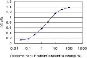 Detection limit for recombinant GST tagged MYH9 is approximately 0. (Myosin 9 抗体  (AA 131-220))