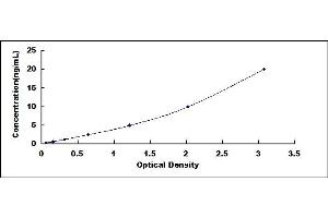 Typical standard curve (Claudin 2 ELISA 试剂盒)