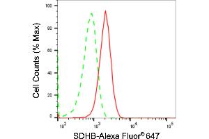 Flow cytometric analysis of SDHB expression in C2C12 cells using SDHB antibody (ABIN7800453), 1:2,000). (Recombinant SDHB 抗体)