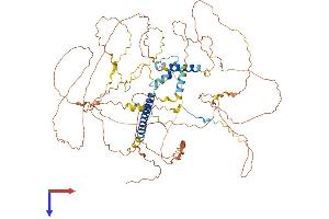 Family with Sequence Similarity 149, Member A (FAM149A) (AA 1-787) protein (His tag)