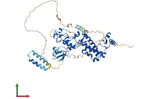 AlphaFold protein structure predicition of Human Recombinant DEF8 Protein, UniprotID Q6ZN54 (DEF8 Protein (AA 1-512) (His tag))