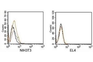 FACS testing of Rabbit IgG isotype control antibody on mouse samples. (兔 IgG 同型对照)