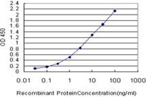 Detection limit for recombinant GST tagged RNF181 is approximately 0. (RNF181 抗体  (AA 90-153))