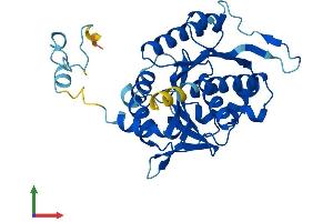 Protein Structure (PS) image for Nucleotide Binding Protein 1 (NUBP1) (AA 1-320) protein (His tag) (ABIN7549910)