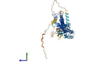 AlphaFold protein structure predicition of Human Recombinant CHMP7 Protein, UniprotID Q8WUX9