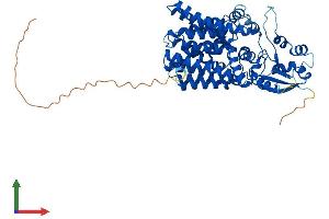 AlphaFold protein structure predicition of Mouse Recombinant Pigb Protein, UniprotID Q9JJQ0