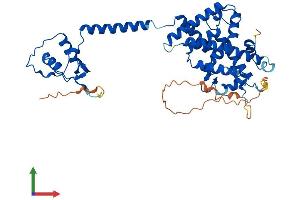Protein Structure (PS) image for Vitamin D Receptor (VDR) (AA 1-427) protein (His tag) (ABIN7545027)