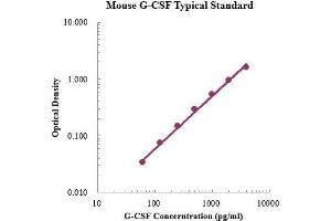 ELISA image for Colony Stimulating Factor 3 (Granulocyte) (CSF3) ELISA Kit (ABIN3198533) (G-CSF ELISA 试剂盒)