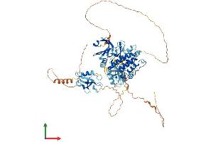 AlphaFold protein structure predicition of Human Recombinant DCLK1 Protein, UniprotID O15075