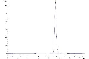 Size-exclusion chromatography-High Pressure Liquid Chromatography (SEC-HPLC) image for Prolactin Receptor (PRLR) (AA 25-234) protein (His tag) (ABIN7275468)