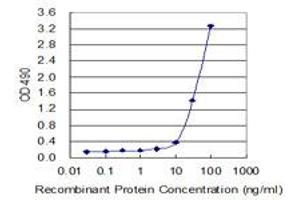 Sandwich ELISA detection sensitivity ranging from 10 ng/mL to 100 ng/mL. (CD40 (人) Matched Antibody Pair)