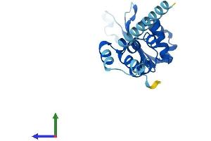 Protein Structure (PS) image for F-Box Protein 36 (FBXO36) (AA 1-188) protein (His tag) (ABIN7560502)