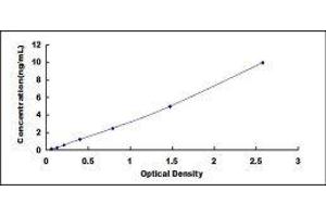 Fms-Related tyrosine Kinase 1 (VEGFR1) (FLT1) ELISA Kit