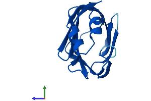 Protein Structure (PS) image for Retinol Binding Protein 7, Cellular (RBP7) (AA 1-134) protein (His tag) (ABIN7561380)