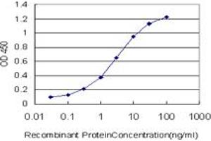 Detection limit for recombinant GST tagged B4GALT4 is approximately 0.