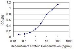 Detection limit for recombinant GST tagged CREBBP is 0. (CBP 抗体  (AA 951-1050))