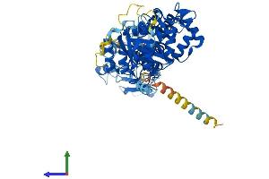 Protein Structure (PS) image for Ras Homolog Gene Family, Member T2 (RHOT2) (AA 1-620) protein (His tag) (ABIN7559398)