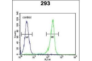 UNC50 Antibody (N-term) (ABIN6244031 and ABIN6578966) flow cytometric analysis of 293 cells (right histogram) compared to a negative control cell (left histogram). (UNC50 抗体  (N-Term))