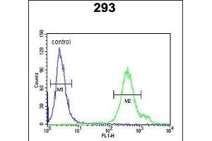 REG3A Antibody (N-term) (ABIN653158 and ABIN2842726) flow cytometric analysis of 293 cells (right histogram) compared to a negative control cell (left histogram). (REG3A 抗体  (N-Term))