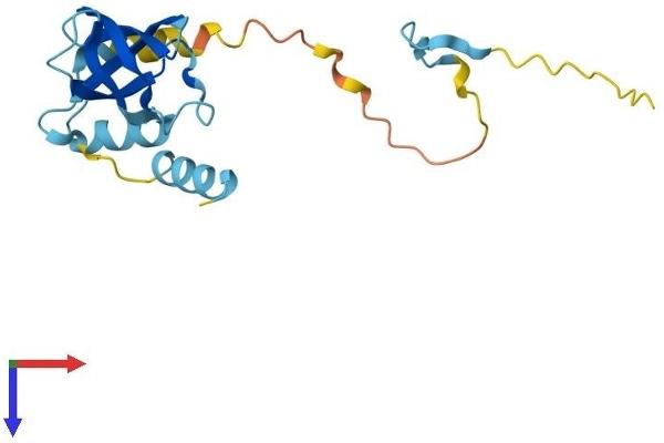 EIF1AD Protein (AA 1-165) (His tag)