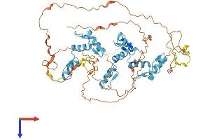 ZNF513 Protein (AA 1-541) (His tag)