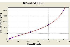 Vascular Endothelial Growth Factor C (VEGFC) ELISA Kit