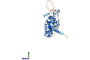 AlphaFold protein structure predicition of Mouse Recombinant Def8 Protein, UniprotID Q99J78 (DEF8 Protein (AA 1-448) (His tag))