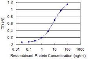 Detection limit for recombinant GST tagged MPST is 0. (MPST 抗体  (AA 1-100))