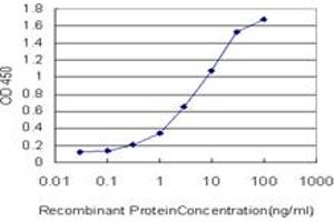 Detection limit for recombinant GST tagged STIP1 is approximately 0. (STIP1 抗体  (AA 445-543))