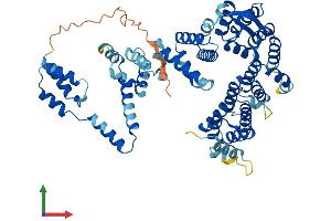 AlphaFold protein structure predicition of Human Recombinant NELFCD Protein, UniprotID Q8IXH7
