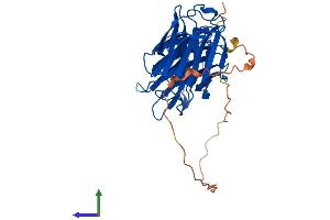 Protein Structure (PS) image for Lectin, Galactoside-Binding, Soluble, 9C (LGALS9C) (AA 1-356) protein (His tag) (ABIN7549024)