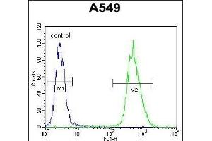 NIX Antibody (Center) (ABIN655731 and ABIN2845178) flow cytometric analysis of A549 cells (right histogram) compared to a negative control cell (left histogram). (BNIP3L/NIX 抗体  (AA 52-81))