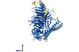 Protein Structure (PS) image for Bardet-Biedl Syndrome 2 (BBS2) (AA 1-721) protein (His tag) (ABIN7552695)