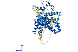 Protein Structure (PS) image for Tubulin tyrosine Ligase-Like Family, Member 1 (TTLL1) (AA 1-423) protein (His tag) (ABIN7544761)