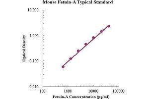 ELISA image for alpha-2-HS-Glycoprotein (AHSG) ELISA Kit (ABIN3199217)