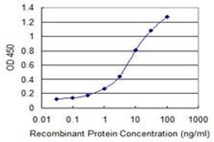 Detection limit for recombinant GST tagged SLC46A2 is 0. (SLC46A2 抗体  (AA 227-282))