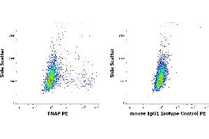 Flow cytometry surface staining patterns of HeLa cells stained using anti-TNAP (W8B2B10) PE antibody (concentration in sample 1. (TRAFs and NIK-Associated Protein (TNAP) 抗体 (PE))