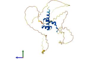 Protein Structure (PS) image for Homeobox B13 (HOXB13) (AA 1-284) protein (His tag) (ABIN7548415)