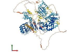 Protein Structure (PS) image for Class II, Major Histocompatibility Complex, Transactivator (CIITA) (AA 1-1155) protein (His tag) (ABIN7563535)