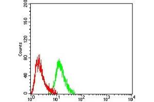 Flow Cytometry (FACS) image for anti-BRCA1 Interacting Protein C-terminal Helicase 1 (BRIP1) (AA 904-986) antibody (ABIN7193527)