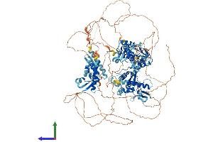 Protein Structure (PS) image for General Transcription Factor II I Repeat Domain-Containing 1 (GTF2IRD1) (AA 1-1104) protein (His tag) (ABIN7565082)