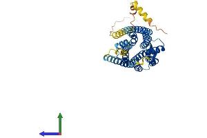 AlphaFold protein structure predicition of Human Recombinant NPSR1 Protein, UniprotID Q6W5P4