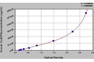 CLASP2 ELISA 试剂盒