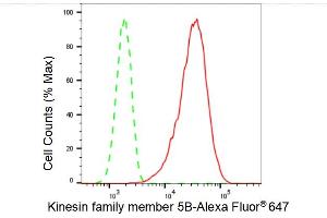 Flow cytometric analysis of Kinesin family member 5B expression in C2C12 cells using Kinesin family member 5B antibody (ABIN7799208), 1:2,000). (Recombinant KIF5B 抗体)