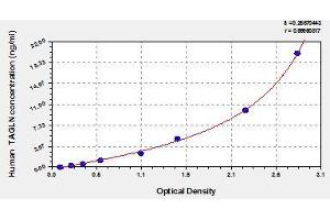 Typical standard curve (Transgelin ELISA 试剂盒)