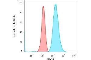 Flow Cytometric Analysis of paraformaldehyde-fixed K562 cells. (Moesin 抗体)