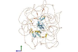 Protein Structure (PS) image for GLI Family Zinc Finger 3 (GLI3) (AA 1-1583) protein (His tag) (ABIN7563924)