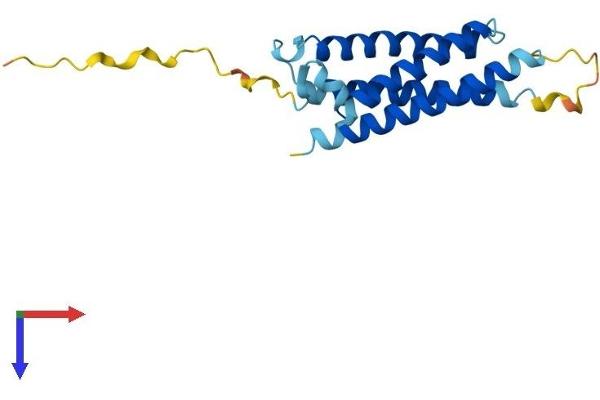 MAL2 Protein (AA 1-176) (His tag)