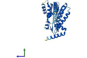 Protein Structure (PS) image for Dehydrogenase/reductase (SDR Family) Member 7B (DHRS7B) (AA 1-323) protein (His tag) (ABIN7560297)